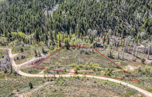 6314 Stewart Ranch Road Kamas, UT 84036 - Photo 5 of 10 Expansive undeveloped lot featuring mature trees and a dirt access road