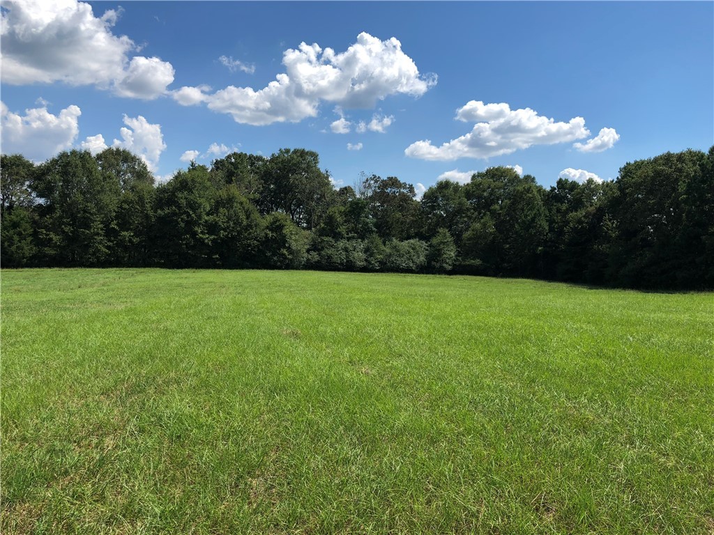 35.14-ac Sandy Springs Road Anderson, SC 29625 - Photo 1 of 7 Gallery Image 1