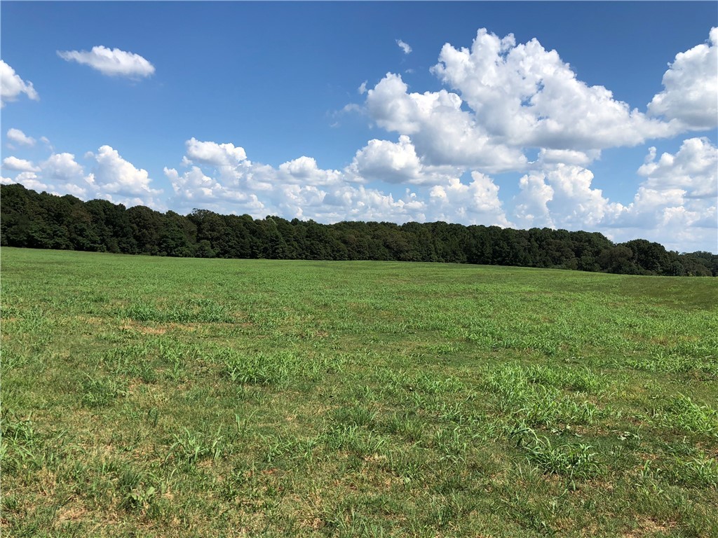 35.14-ac Sandy Springs Road Anderson, SC 29625 - Photo 2 of 7 Gallery Image 2