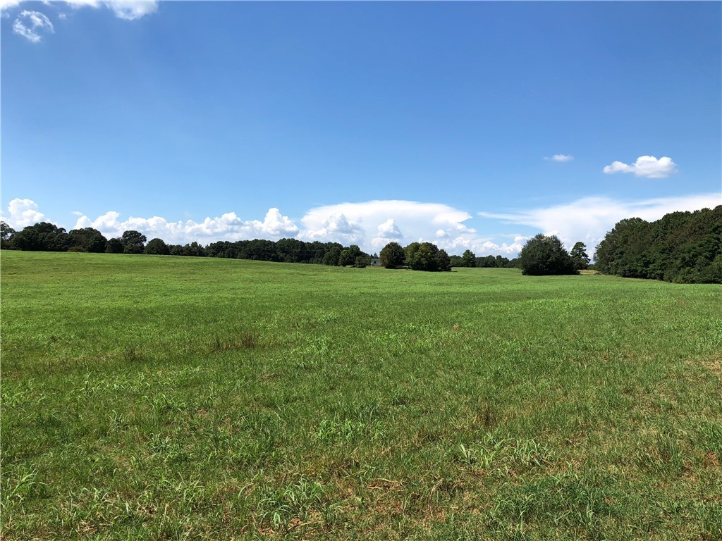 35.14-ac Sandy Springs Road Anderson, SC 29625 - Photo 3 of 7 Gallery Image 3