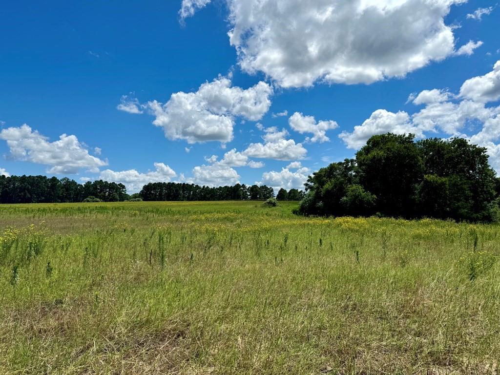 0 Bridle View Court Athens, TX 75752 - Photo 1 of 17 a view of a golf course with a lake