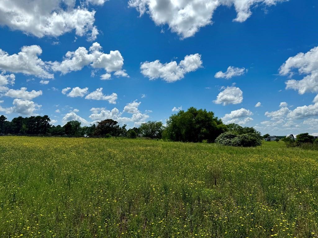 0 Bridle View Court Athens, TX 75752 - Photo 11 of 17 a view of a big yard with lots of green space and mountain view