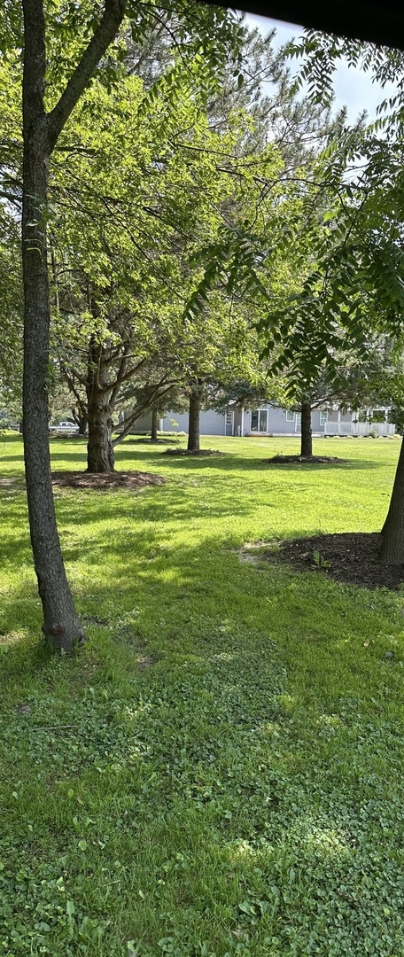 6805 Johnsburg Road Spring Grove, IL 60081 - Photo 75 of 79