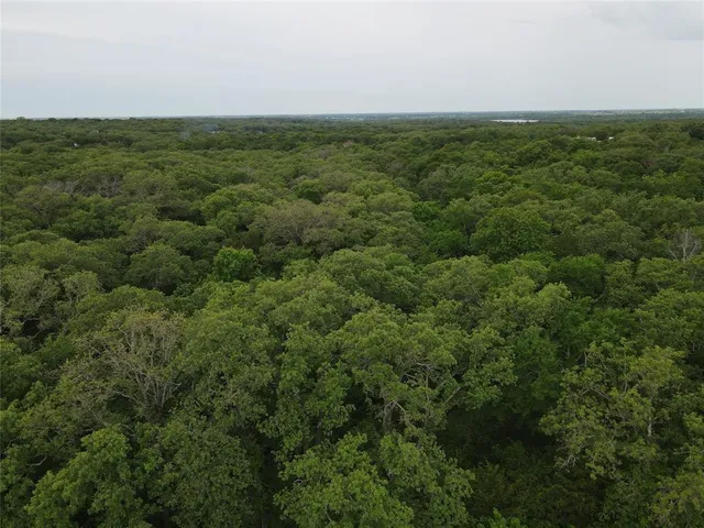 a view of a green field with lots of bushes
