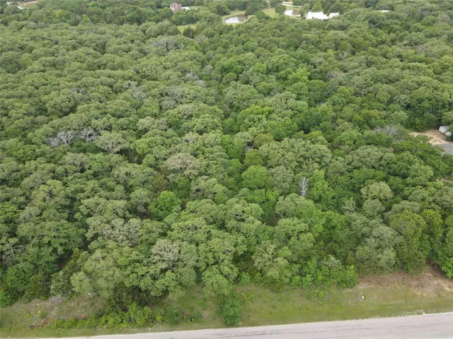 a view of a big yard with plants and large tree