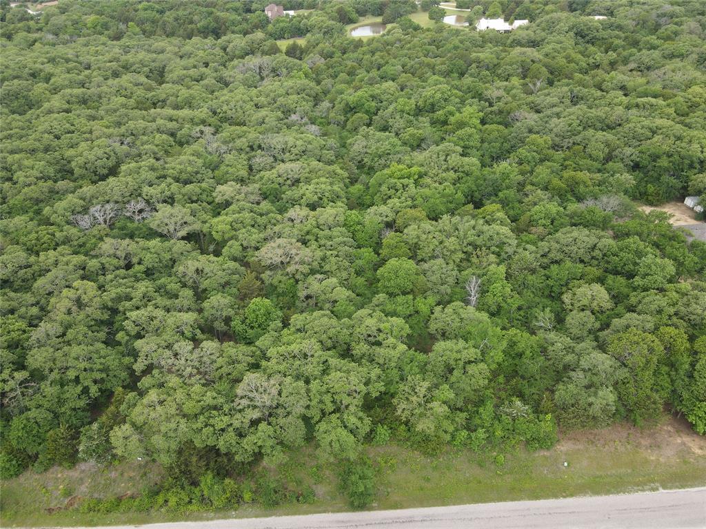 Lot 92 County Road 2255 Valley View, TX 76272 - Photo 4 of 12 a view of a big yard with plants and large tree