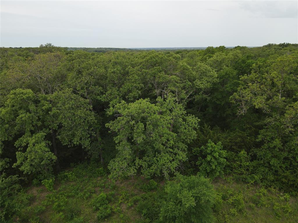 Lot 92 County Road 2255 Valley View, TX 76272 - Photo 6 of 12 a view of a green field with lots of trees in it