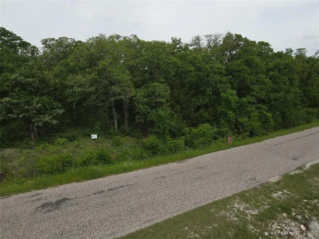 a view of a field with a tree