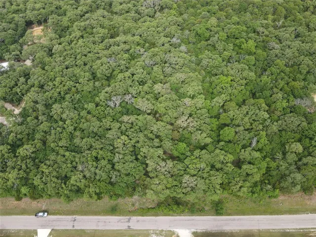 a view of a yard with plants