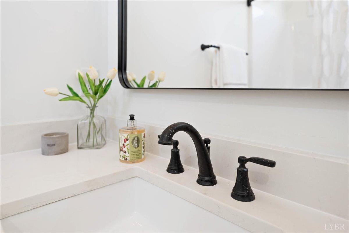 1101 Harrison Street Lynchburg, VA 24504 - Photo 50 of 66 a close view of a sink a faucet and a potted plant on a granite counter