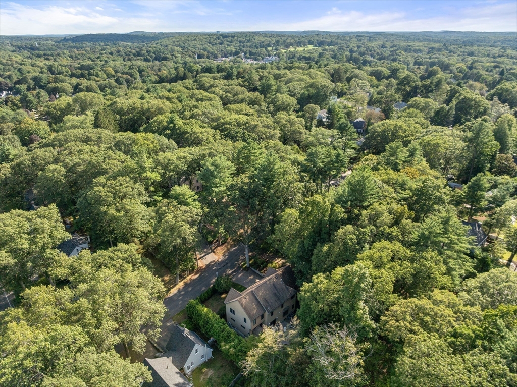 7 Henderson Road Lexington, MA 02420 - Photo 41 of 42