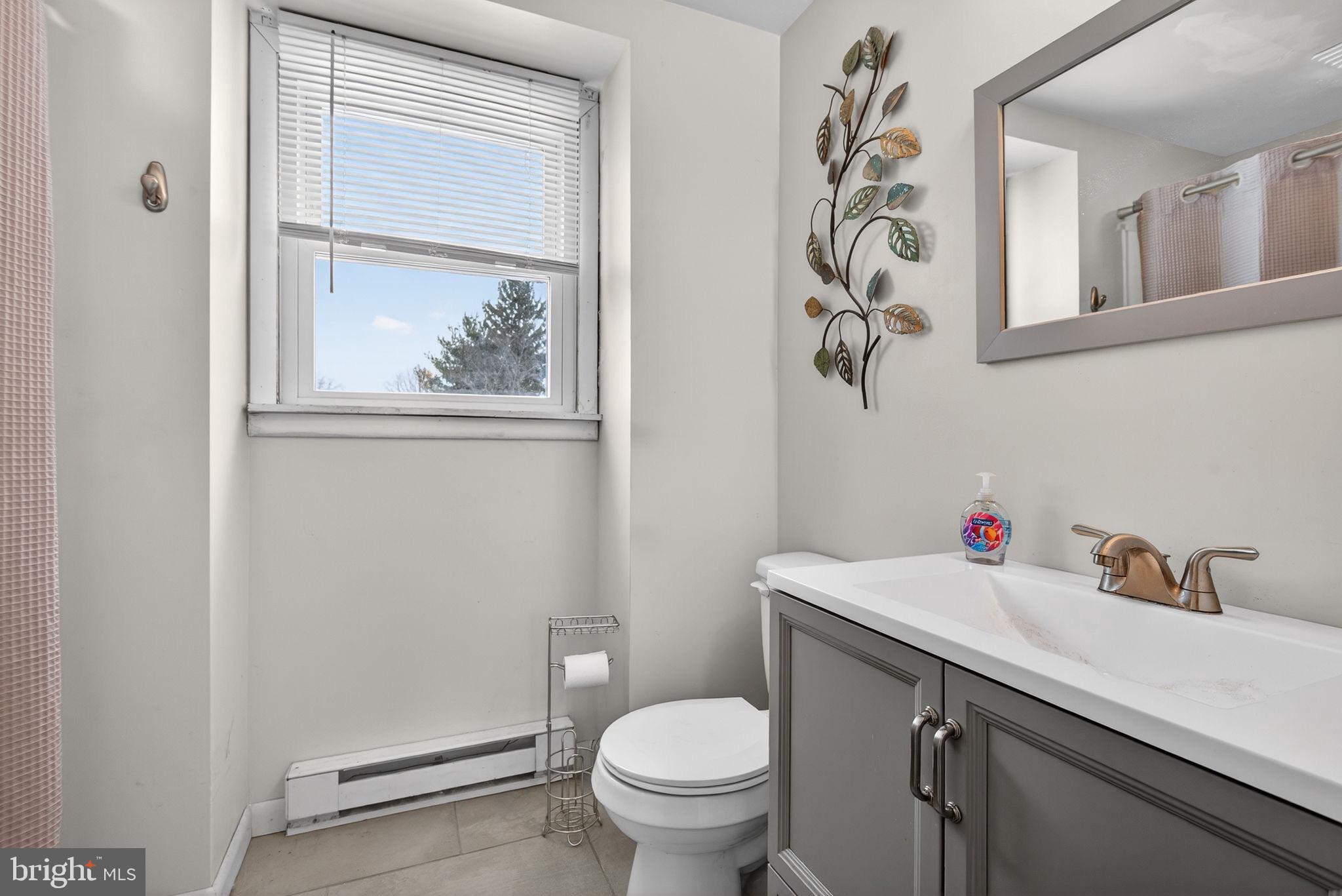 311 Fulton Street Akron, PA 17501 - Photo 17 of 30 a bathroom with a sink toilet and vanity