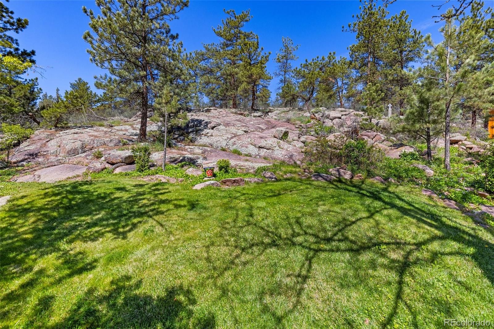 1669 Apple Valley Road Lyons, CO 80540 - Photo 15 of 48 a backyard of a house with lots of green space