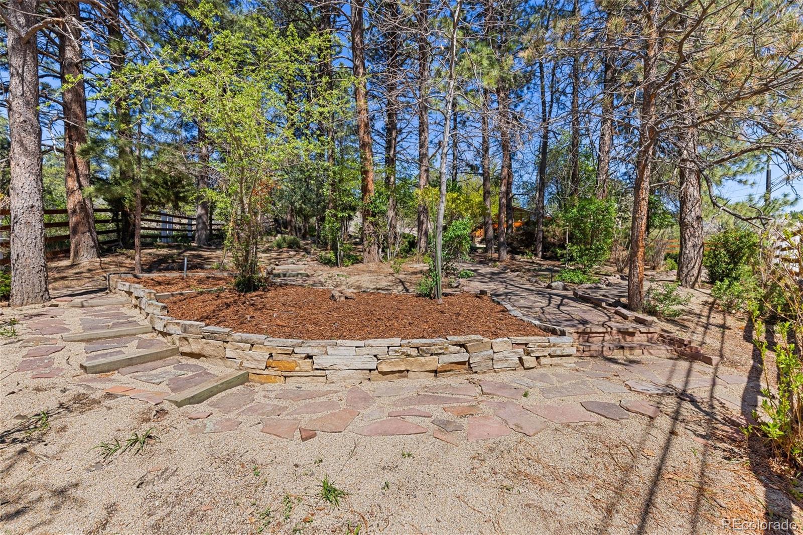 1669 Apple Valley Road Lyons, CO 80540 - Photo 10 of 48 a view of a yard with a tree