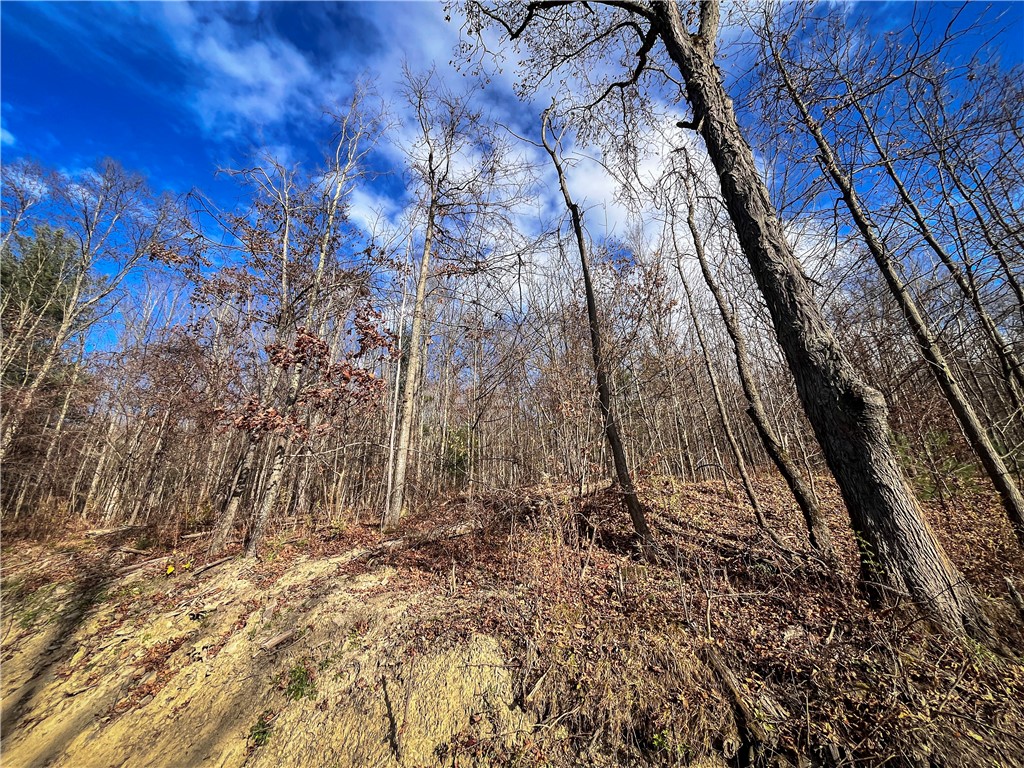 1188 Braybrook Road Chemung, NY 14861 - Photo 5 of 45