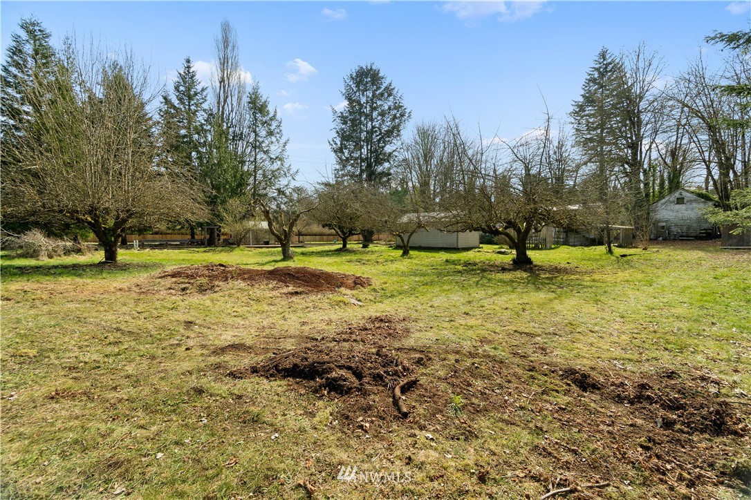 8117 Littlerock Road Southwest Tumwater, WA 98512 - Photo 4 of 14 Gallery Image 4