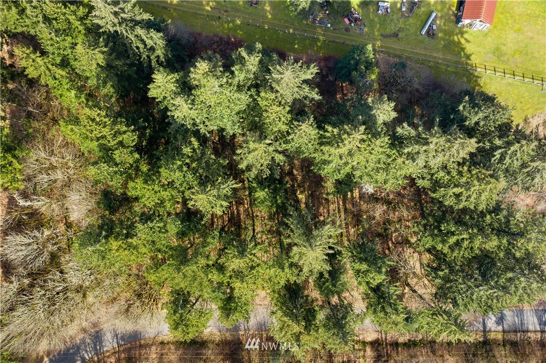 8117 Littlerock Road Southwest Tumwater, WA 98512 - Photo 10 of 14 Gallery Image 10