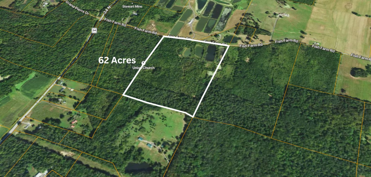 40 Fish Farm Road Golconda, IL 62938 - Photo 8 of 18