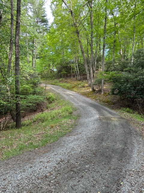 225 Ridge Line Trail Independence, VA 24348 - Photo 45 of 45 Gallery Image 45