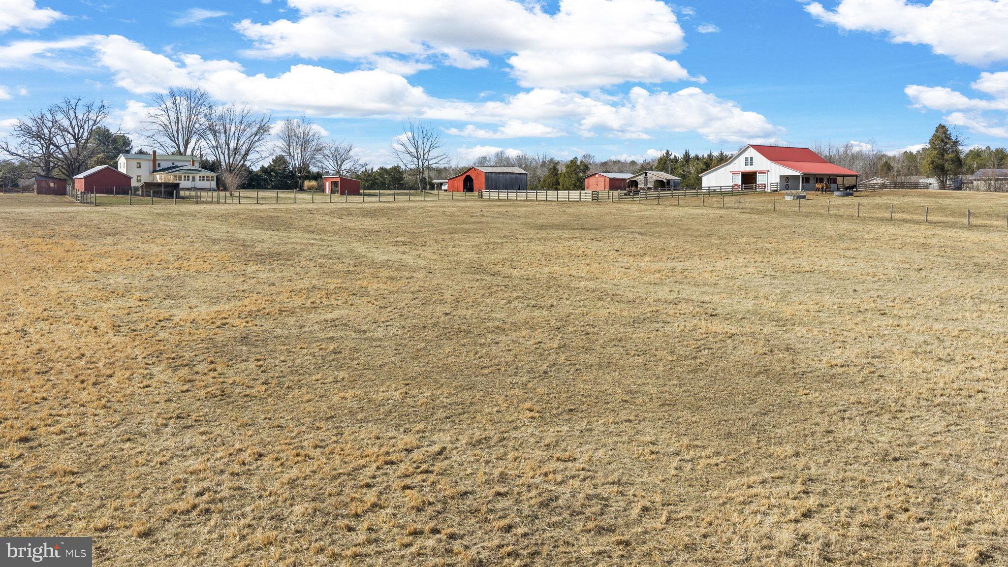 1815 Country Road Beaverdam, VA 23015 - Photo 87 of 92 Land