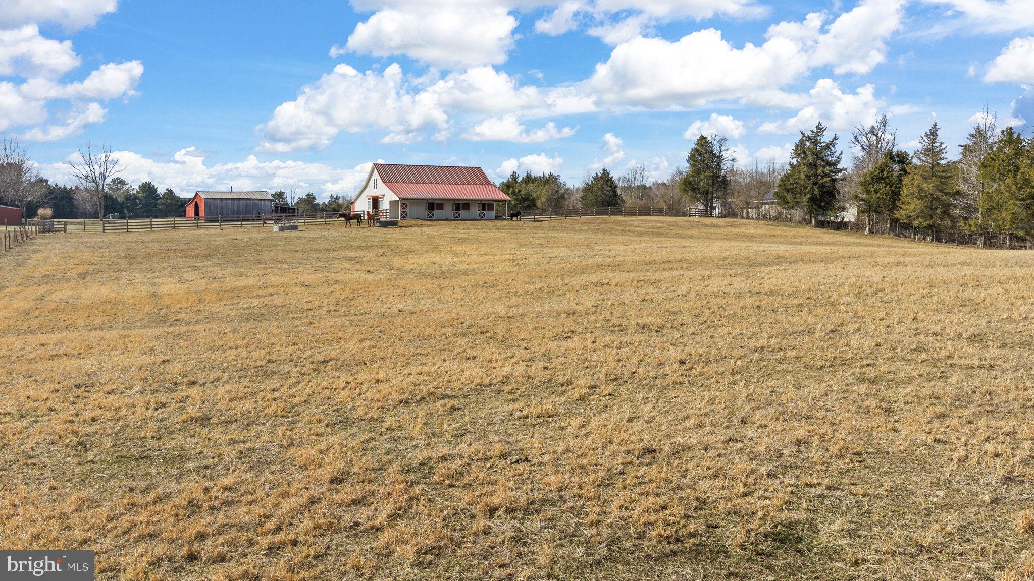1815 Country Road Beaverdam, VA 23015 - Photo 88 of 92 Land