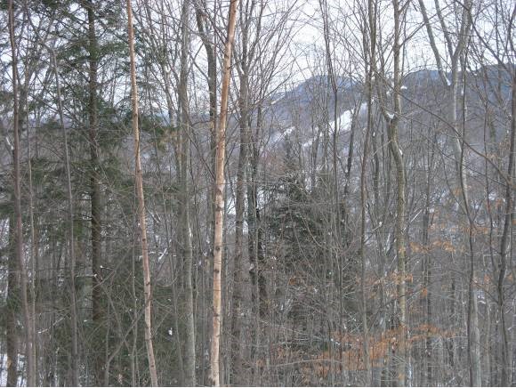 25 Bridgeview Road Lincoln, NH 03251 - Photo 3 of 7 Gallery Image 3
