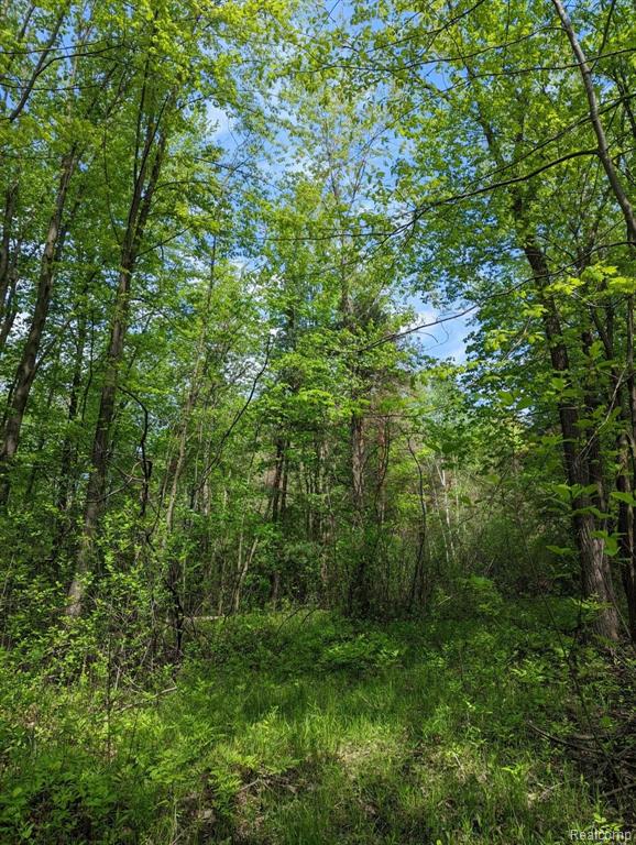 3800 South Towerline Road Bridgeport, MI 48722 - Photo 11 of 11 Gallery Image 11