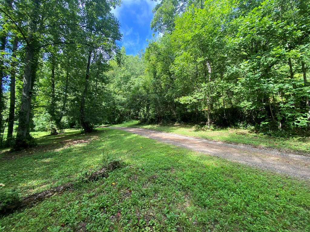 Lot 6 Nottley River Road Murphy, NC 28906 - Photo 8 of 22 Gallery Image 8