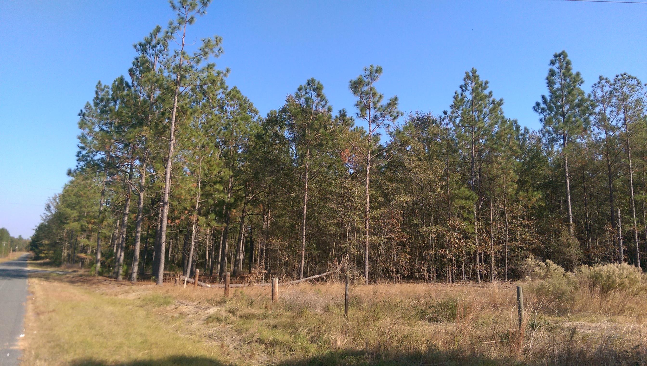 0 Sherlock Road Cameron, SC 29030 - Photo 1 of 3 IMAG2839 (2)