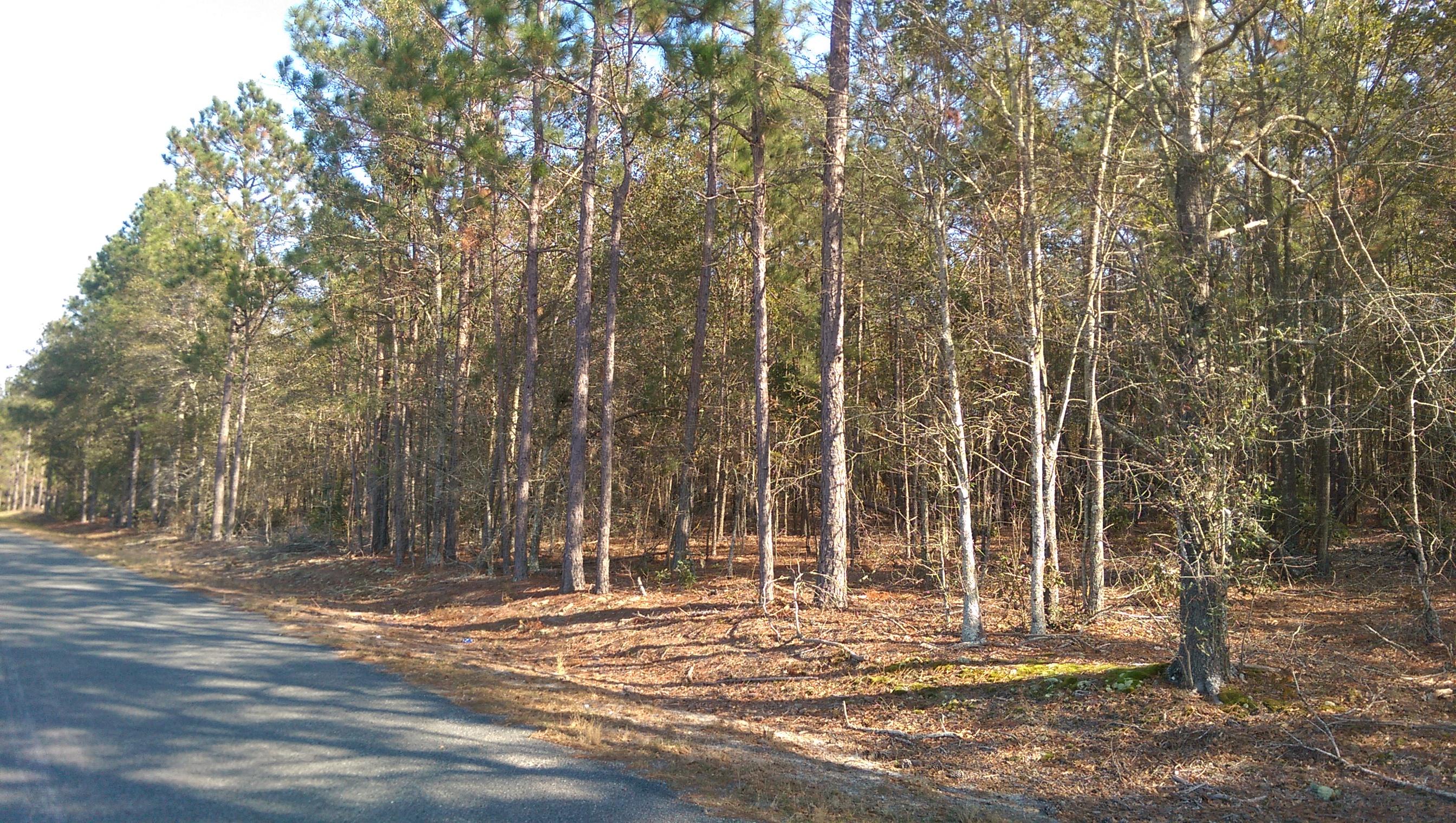 0 Sherlock Road Cameron, SC 29030 - Photo 2 of 3 IMAG2837