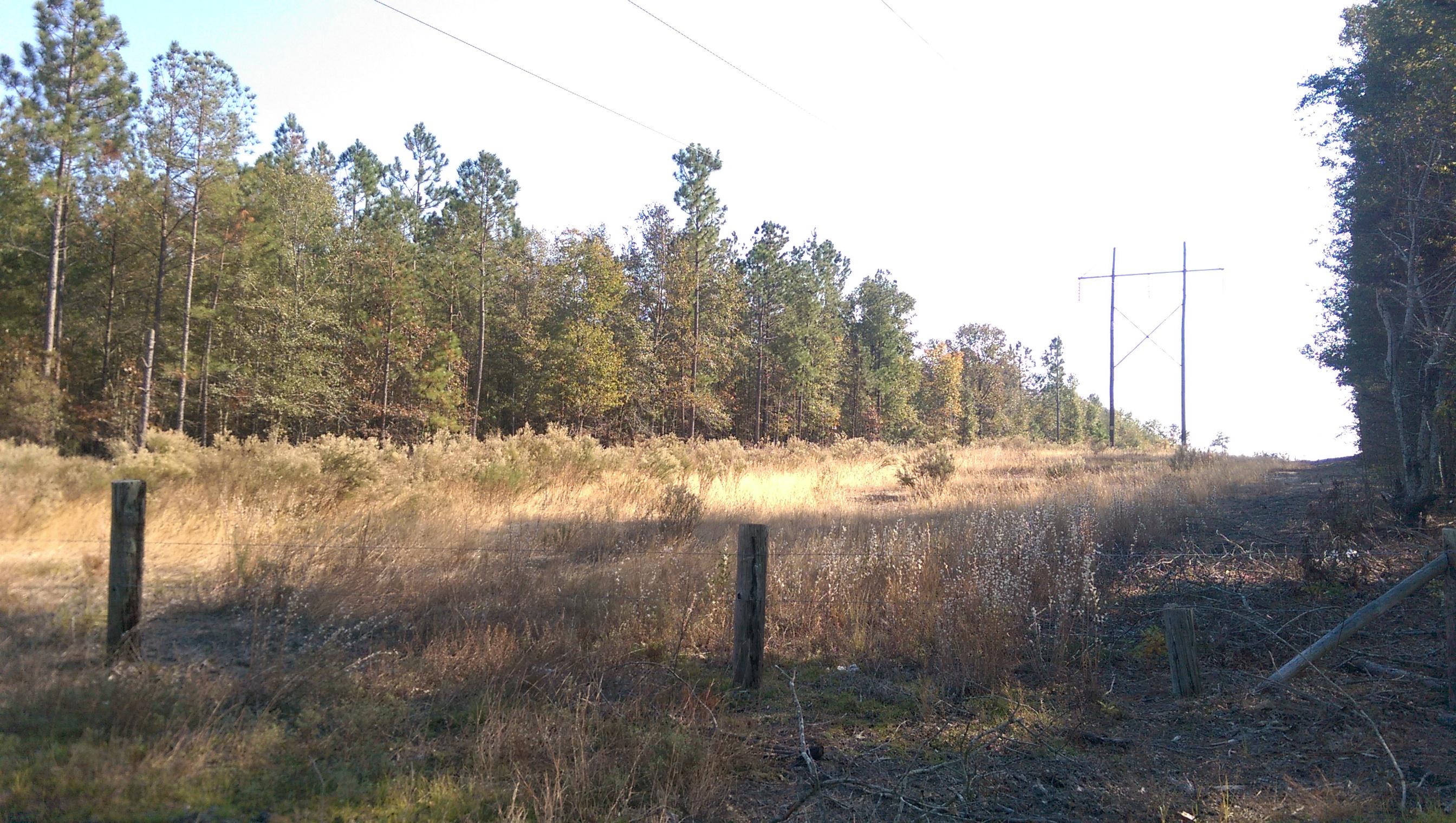 0 Sherlock Road Cameron, SC 29030 - Photo 3 of 3 IMAG2838 (2)