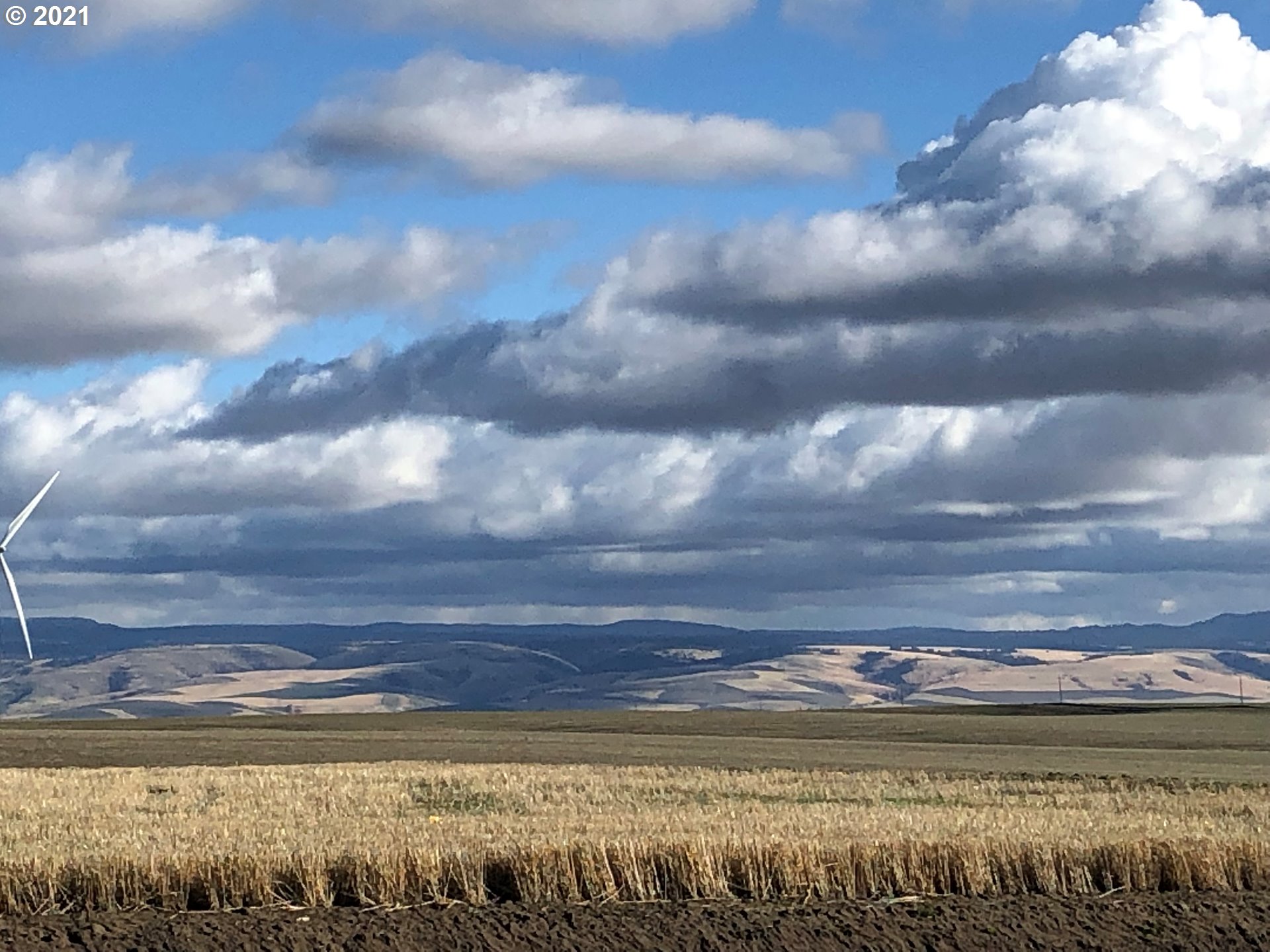 81876 Gerking Flat Road Athena, OR 97813 - Photo 3 of 30