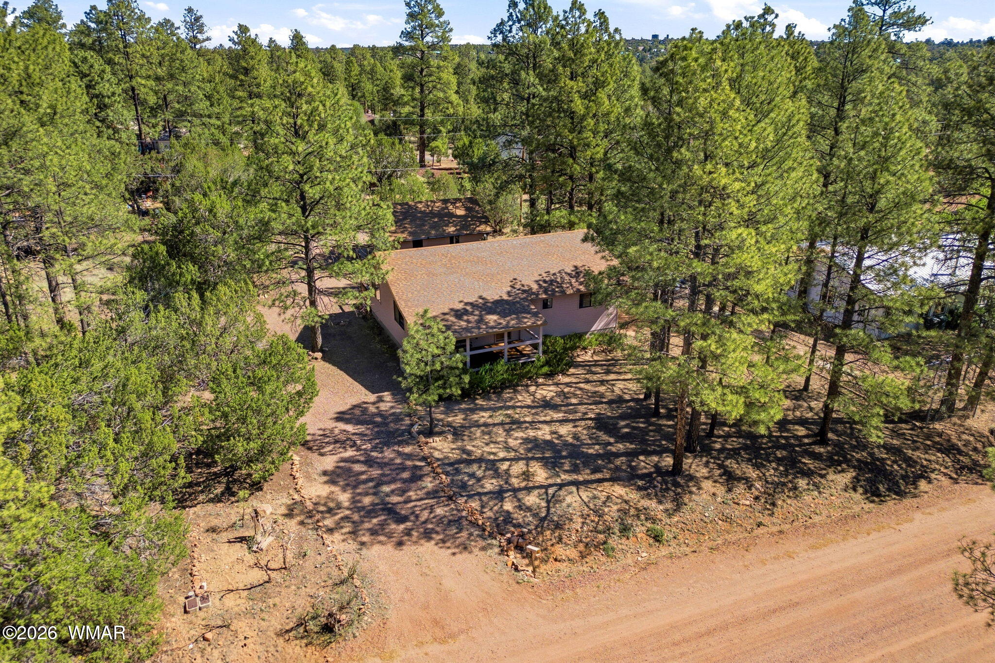 1924 Little Doe Trail Overgaard, AZ 85933 - Photo 5 of 31 a view of a forest filled with trees