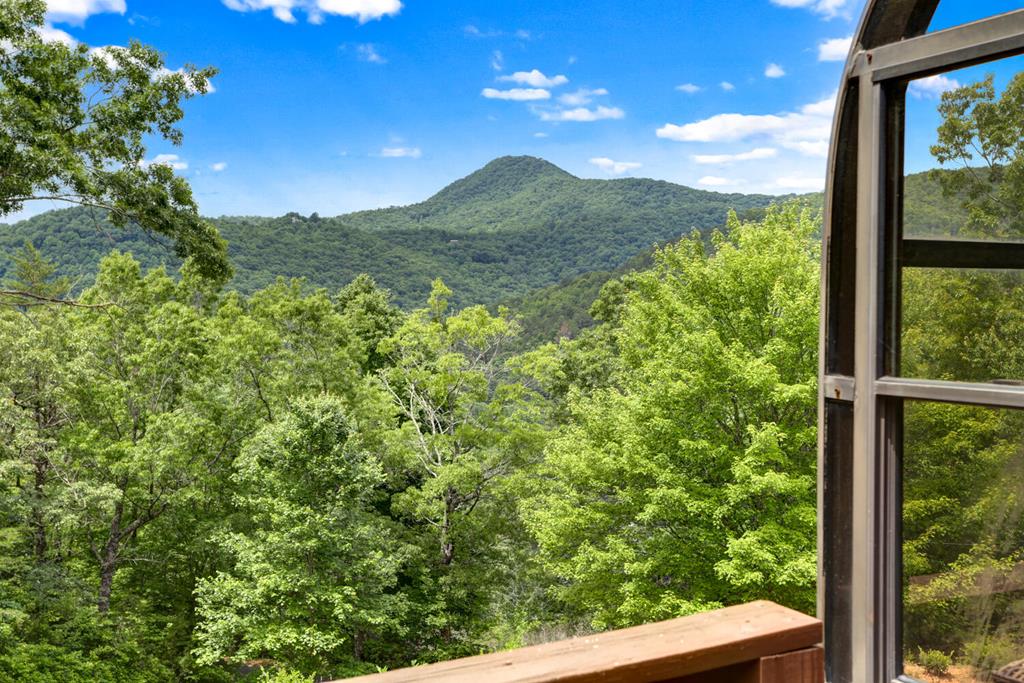 2360 The Ridges Hiawassee, GA 30546 - Photo 42 of 47 Gallery Image 42