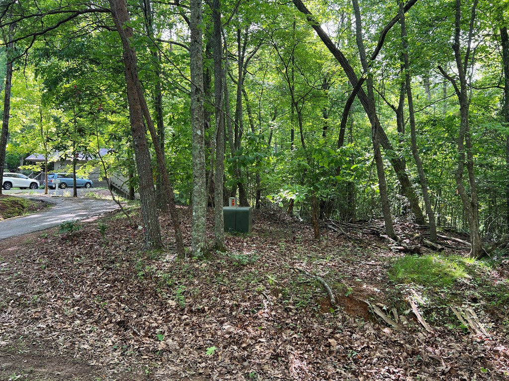 Lot 26 Longview Ridge Hayesville, NC 28904 - Photo 11 of 17