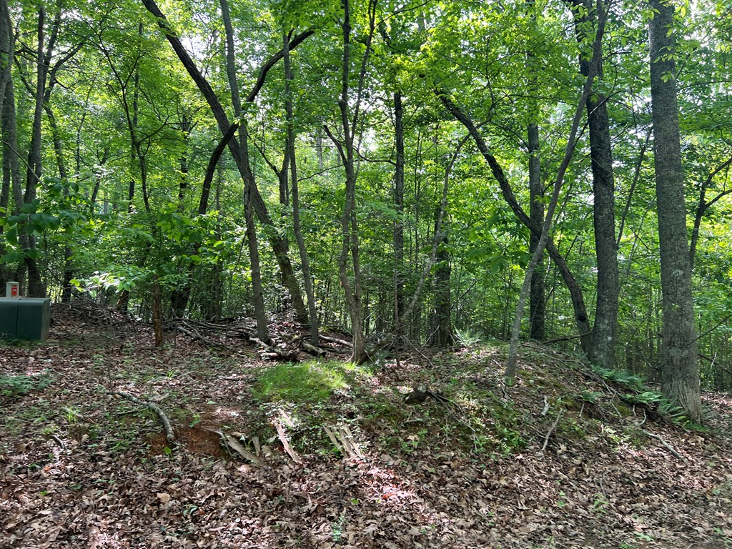 Lot 26 Longview Ridge Hayesville, NC 28904 - Photo 12 of 17