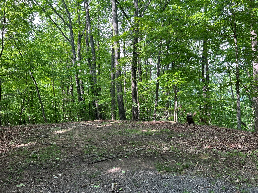 Lot 26 Longview Ridge Hayesville, NC 28904 - Photo 13 of 17