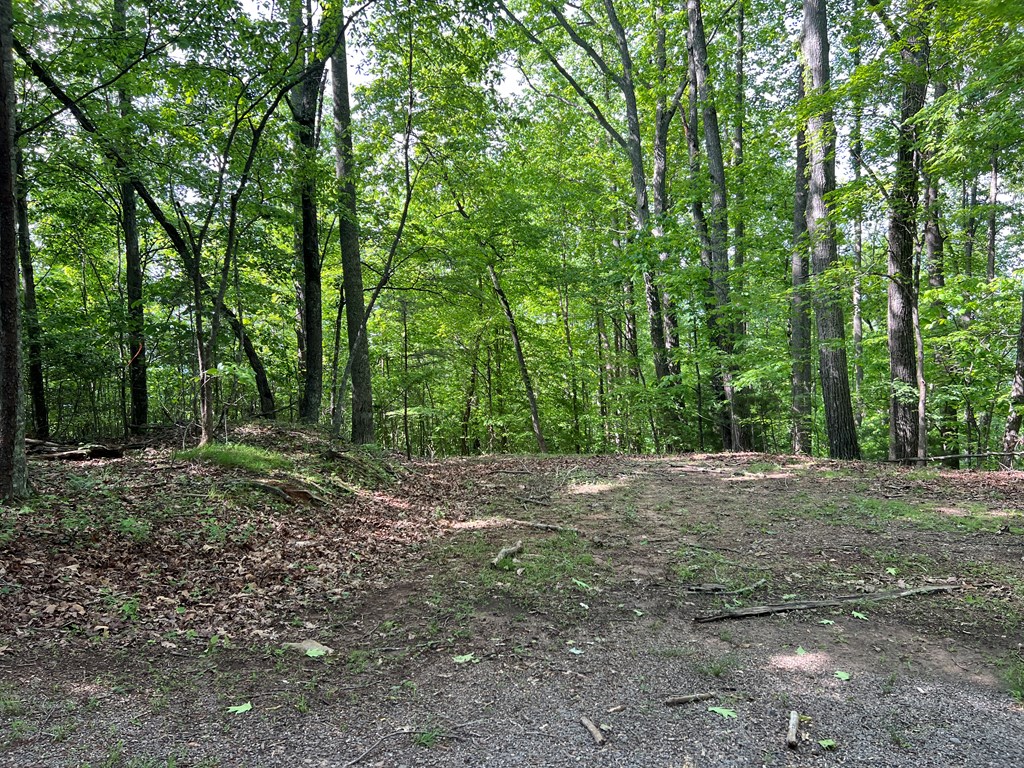 Lot 26 Longview Ridge Hayesville, NC 28904 - Photo 14 of 17