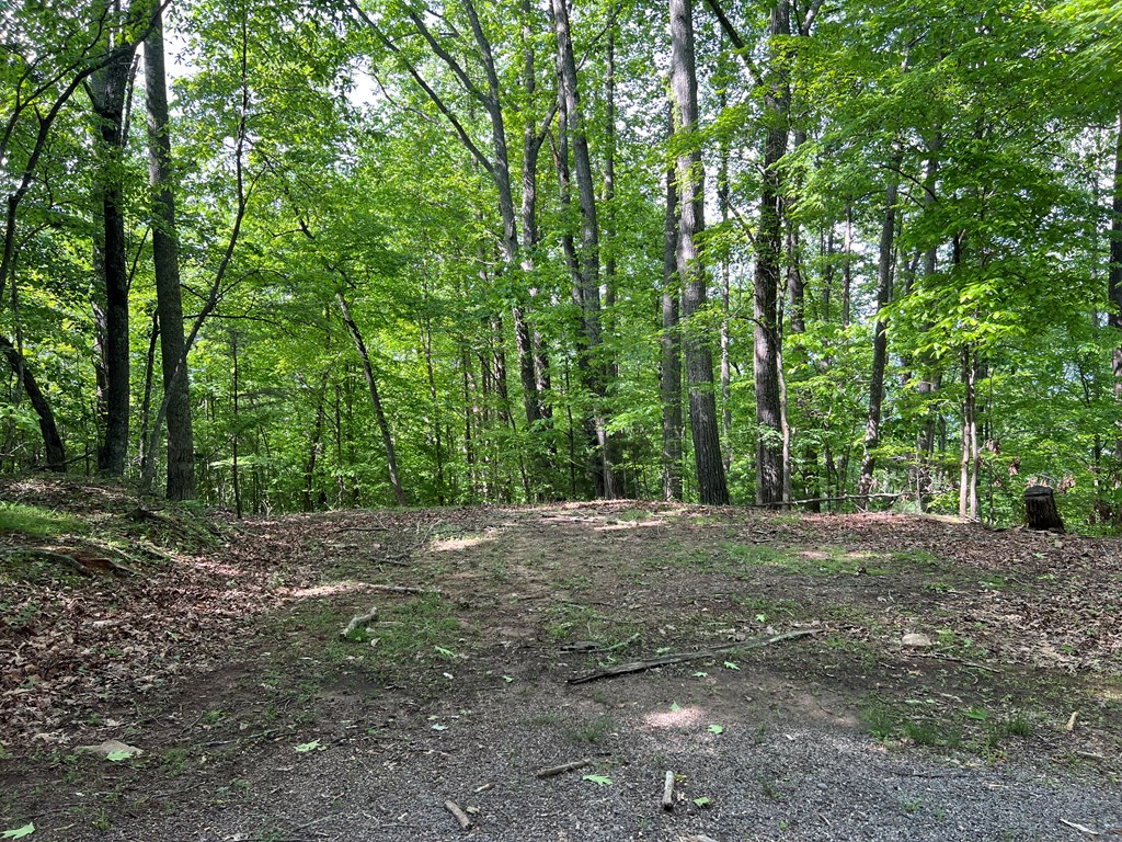 Lot 26 Longview Ridge Hayesville, NC 28904 - Photo 15 of 17