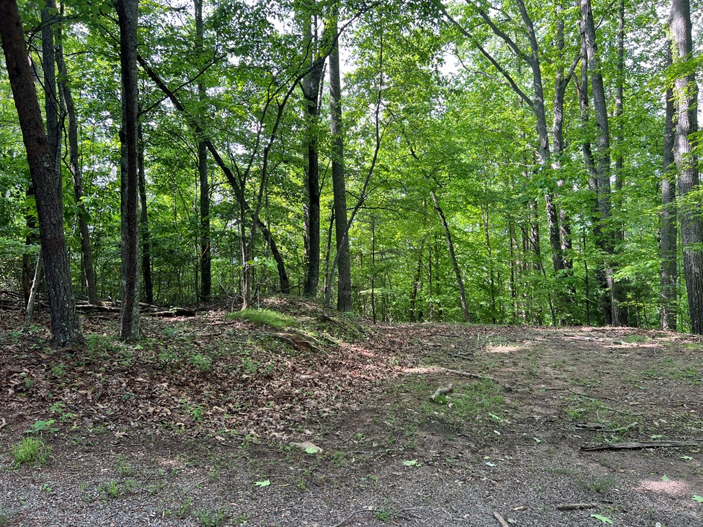 Lot 26 Longview Ridge Hayesville, NC 28904 - Photo 16 of 17