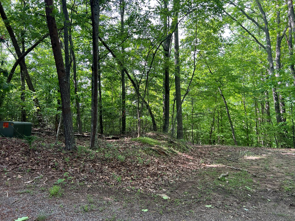 Lot 26 Longview Ridge Hayesville, NC 28904 - Photo 17 of 17
