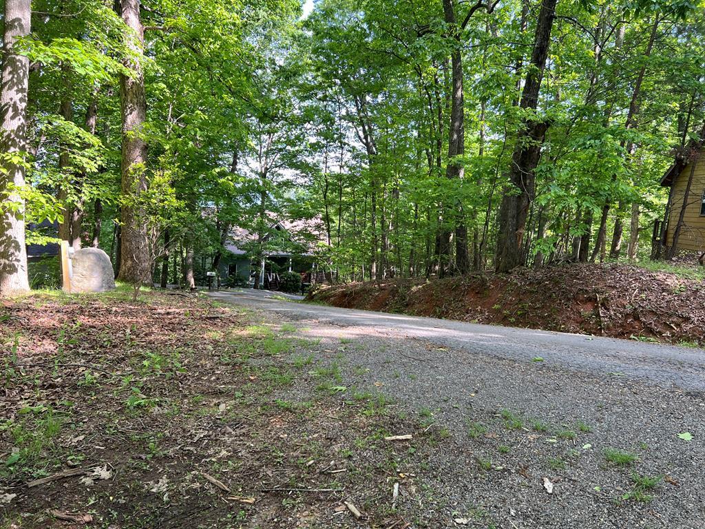 Lot 26 Longview Ridge Hayesville, NC 28904 - Photo 2 of 17