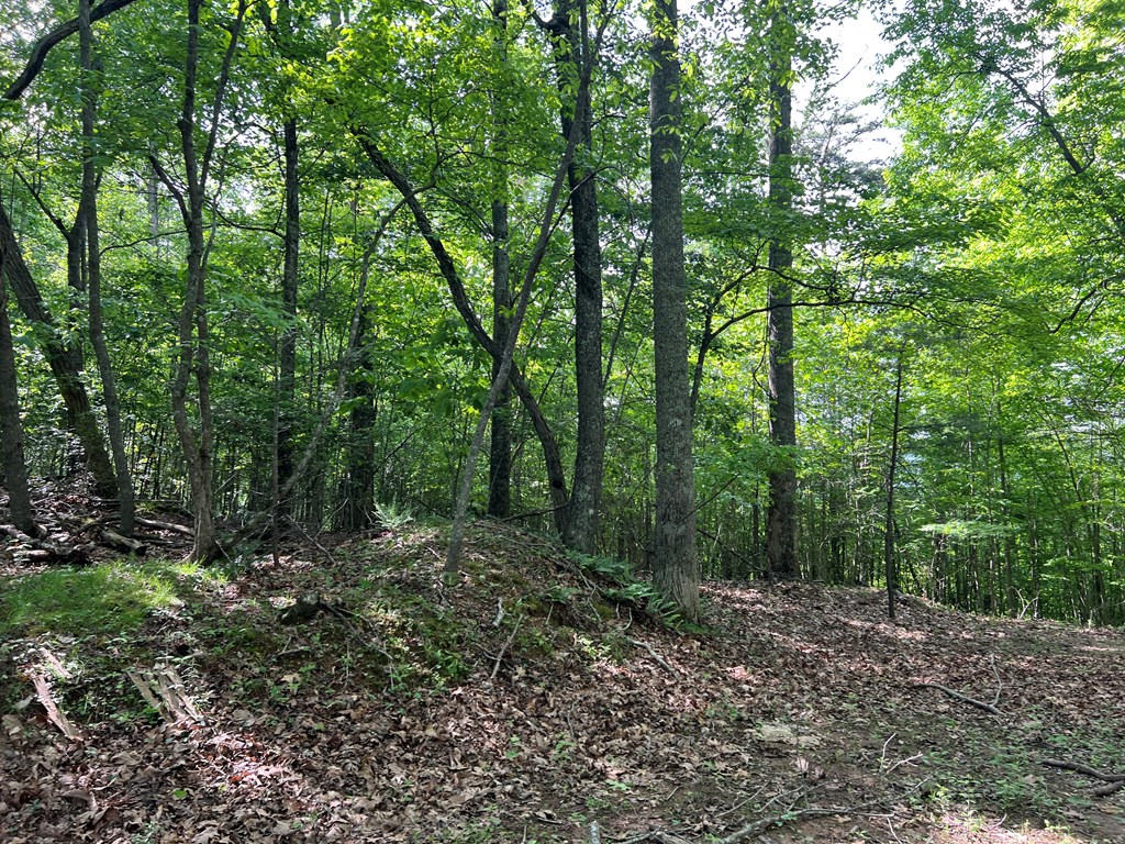 Lot 26 Longview Ridge Hayesville, NC 28904 - Photo 10 of 17