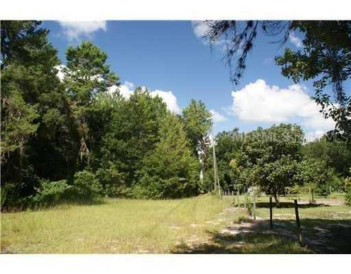 1440 South Forbes Road Plant City, FL 33566 - Photo 1 of 1 a view of outdoor space