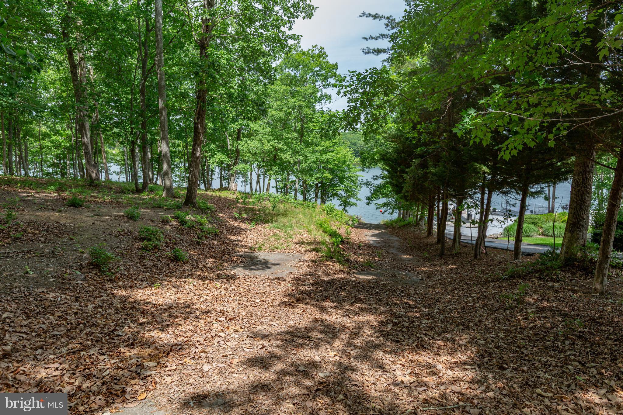 Old Mill Road Mineral, VA 23117 - Photo 5 of 15 Road easement heading to lake