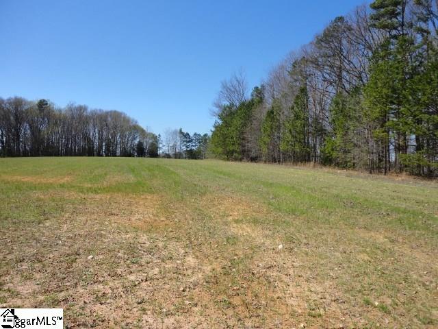 Greenpond Road Fountain Inn, SC 29644 - Photo 5 of 9