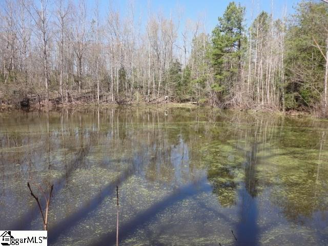 Greenpond Road Fountain Inn, SC 29644 - Photo 7 of 9