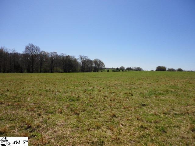 Greenpond Road Fountain Inn, SC 29644 - Photo 8 of 9