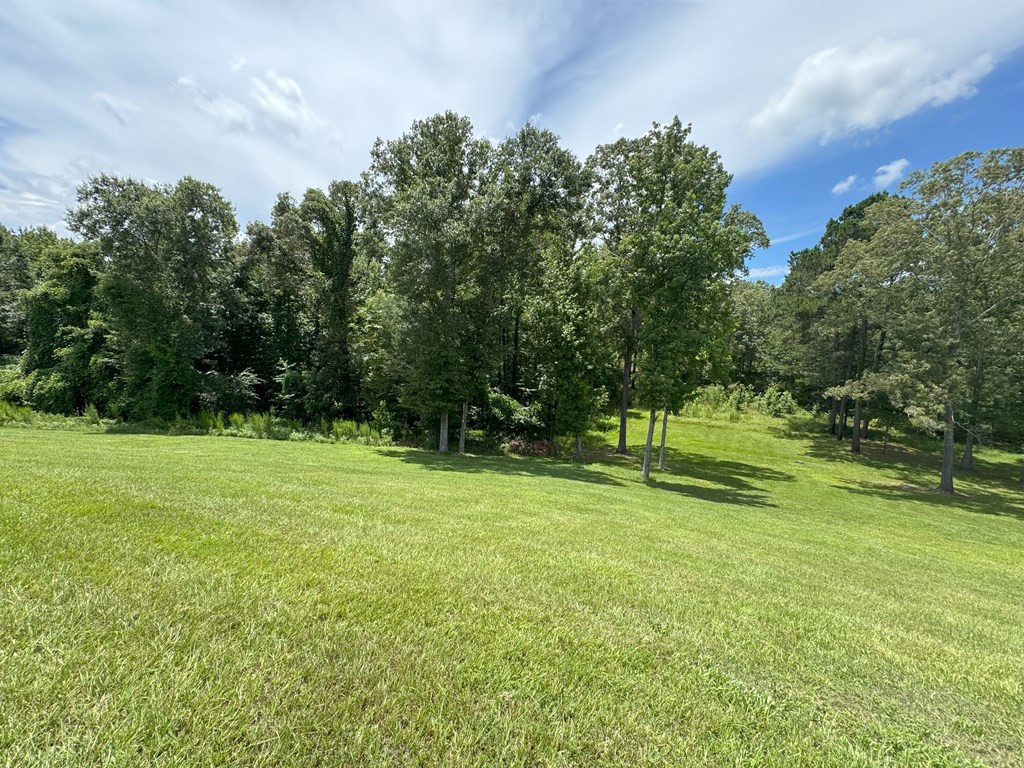 3081 Hoodtown Road Utica, MS 39175 - Photo 47 of 61 Photo 47