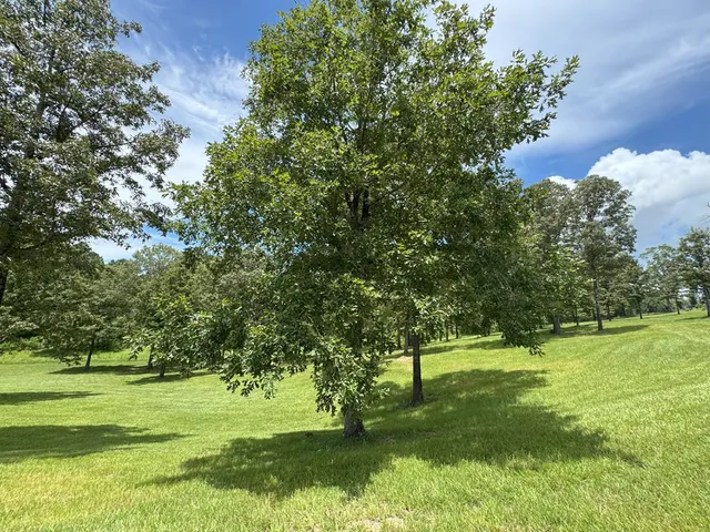 $263,500 | 3081 Hoodtown Road, Utica, MS 39175